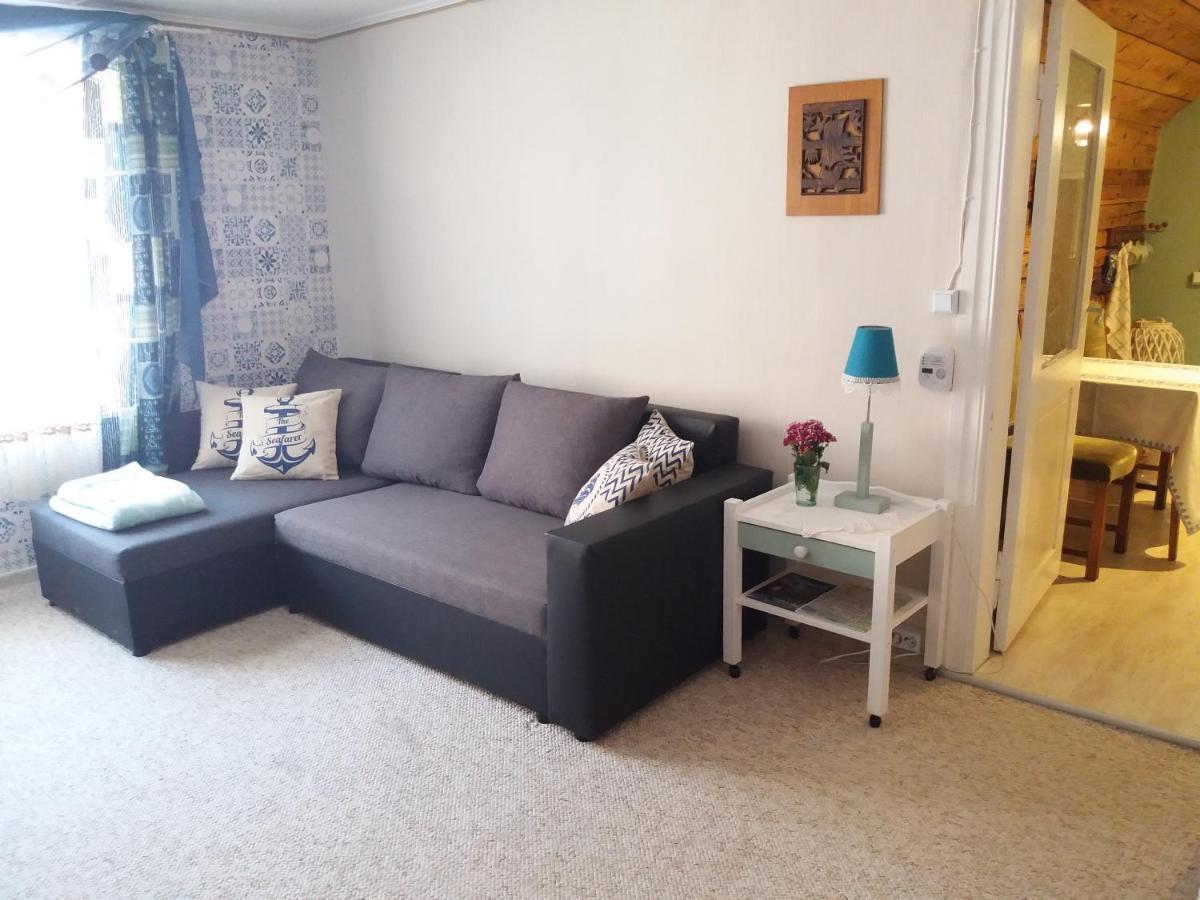 Viljandi Paadimehe Apartment Екстериор снимка